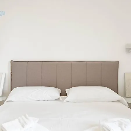 Marco Polo 26 Tirabora Short Rent